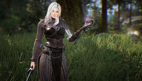 Black Desert Online Graphics Appreciation